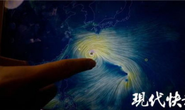 追风视频,捕捉时代脉搏，展现青春风采